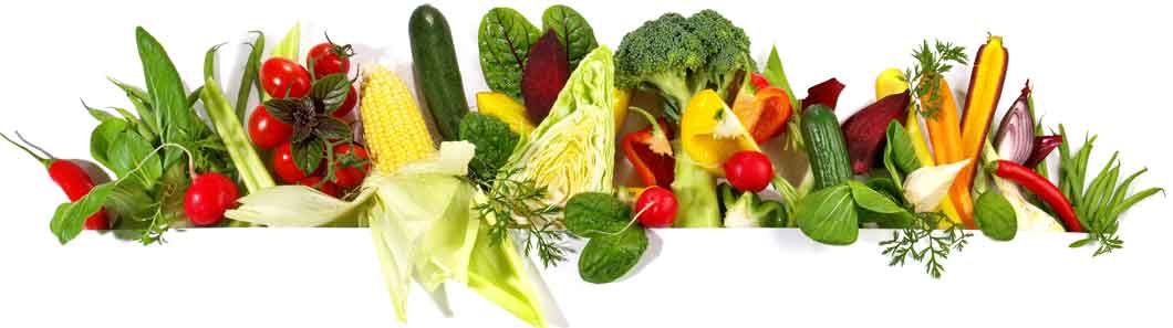 Salatgurken gehören zu den beliebtesten Gemüsen der Schweiz. Die Saison beginnt im April und dauert bis Oktober. 