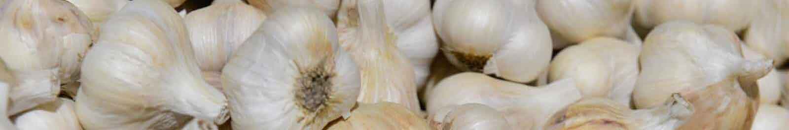 Schweizer Knoblauch - Das Beste kommt ganz aus der Nähe